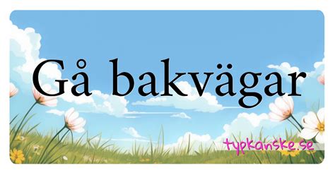 GÅ BET PÅ Synonymer .